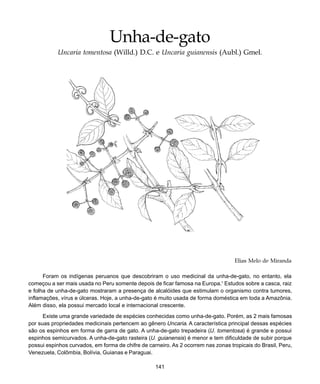 141
Unha-de-gato
Elias Melo de Miranda
Foram os indígenas peruanos que descobriram o uso medicinal da unha-de-gato, no entanto, ela
começou a ser mais usada no Peru somente depois de ficar famosa na Europa.1
Estudos sobre a casca, raiz
e folha de unha-de-gato mostraram a presença de alcalóides que estimulam o organismo contra tumores,
inflamações, vírus e úlceras. Hoje, a unha-de-gato é muito usada de forma doméstica em toda a Amazônia.
Além disso, ela possui mercado local e internacional crescente.
Existe uma grande variedade de espécies conhecidas como unha-de-gato. Porém, as 2 mais famosas
por suas propriedades medicinais pertencem ao gênero Uncaria. A característica principal dessas espécies
são os espinhos em forma de garra de gato. A unha-de-gato trepadeira (U. tomentosa) é grande e possui
espinhos semicurvados. A unha-de-gato rasteira (U. guianensis) é menor e tem dificuldade de subir porque
possui espinhos curvados, em forma de chifre de carneiro. As 2 ocorrem nas zonas tropicais do Brasil, Peru,
Venezuela, Colômbia, Bolívia, Guianas e Paraguai.
Unha-de-gato
Uncaria tomentosa (Willd.) D.C. e Uncaria guianensis (Aubl.) Gmel.
 