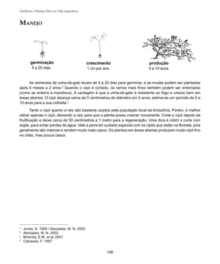 146
Frutíferas e Plantas Úteis na Vida Amazônica
MANEJO
1
Jones, K. 1995 / Alexiades, M. N. 2002
2
Alexiades, M. N. 2002
3
Miranda, E.M. et al. 2001
4
Cabieses, F. 1997
As sementes de unha-de-gato levam de 5 a 20 dias para germinar, e as mudas podem ser plantadas
após 6 meses a 2 anos.2
Quando o cipó é cortado, os ramos mais finos também podem ser enterrados
(como se enterra a mandioca). A vantagem é que a unha-de-gato é resistente ao fogo e cresce bem em
áreas abertas. O cipó alcança cerca de 5 centímetros de diâmetro em 5 anos; estima-se um período de 5 a
10 anos para a sua colheita.2
Tanto o cipó quanto a raiz são bastante usados pela população local da Amazônia. Porém, é melhor
retirar apenas o cipó, deixando a raiz para que a planta possa crescer novamente. Corte o cipó depois da
frutificação e deixe cerca de 50 centímetros a 1 metro para a regeneração. Uma dica é cobrir o corte com
argila, para evitar perdas de água. Vale a pena ter cuidado especial com os cipós que estão na floresta, pois
geralmente são maiores e rendem muito mais casca. Os plantios em áreas abertas produzem muito cipó fino
no chão, mas pouca casca.
germinação
5 a 20 dias
crescimento
1 cm por ano
produção
5 a 10 anos
 