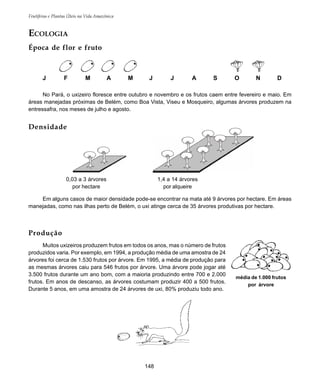 148
Frutíferas e Plantas Úteis na Vida Amazônica
ECOLOGIA
Época de flor e fruto
No Pará, o uxizeiro floresce entre outubro e novembro e os frutos caem entre fevereiro e maio. Em
áreas manejadas próximas de Belém, como Boa Vista, Viseu e Mosqueiro, algumas árvores produzem na
entressafra, nos meses de julho e agosto.
J F M A M J J A S O N D
0,03 a 3 árvores
por hectare
1,4 a 14 árvores
por alqueire
média de 1.000 frutos
por árvore
Densidade
Em alguns casos de maior densidade pode-se encontrar na mata até 9 árvores por hectare. Em áreas
manejadas, como nas ilhas perto de Belém, o uxi atinge cerca de 35 árvores produtivas por hectare.
Produção
Muitos uxizeiros produzem frutos em todos os anos, mas o número de frutos
produzidos varia. Por exemplo, em 1994, a produção média de uma amostra de 24
árvores foi cerca de 1.530 frutos por árvore. Em 1995, a média de produção para
as mesmas árvores caiu para 546 frutos por árvore. Uma árvore pode jogar até
3.500 frutos durante um ano bom, com a maioria produzindo entre 700 e 2.000
frutos. Em anos de descanso, as árvores costumam produzir 400 a 500 frutos.
Durante 5 anos, em uma amostra de 24 árvores de uxi, 80% produziu todo ano.
 