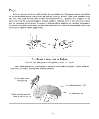 155
Uxi
CAÇA
O uxi tem grande importância na alimentação dos animais silvestres. Num estudo sobre a produção de
uxi, encontramos casos onde a caça comeu até 80% dos frutos das árvores. Veado, anta, queixada, catitu,
tatu, paca, cutia, quati, macaco, arara e outros pássaros comem uxi. O quatipuru rói o caroço de uxi até
atingir a semente. Às vezes, os caçadores colocam baladores perto dos uxizeiros para capturarem cutia e
tatu. Um caçador de Joíra chamado Chuva tem o hábito de colocar baladores nos caminhos de caça perto
dos pés de uxi durante a safra. Nesse período, parece até que Chuva tem um açougue ao lado da sua casa
porque quase todos os dias ele pega um tatu.
Dividindo o bolo com os bichos:
Destino dos uxis produzidos pelas árvores do Capim
Veja o que aconteceu com a produção de 24 árvores de uxi na área do Rio Capim. Quantos sobraram
para comer ou vender? Somente 14% de todos os frutos!
Fruto comido pelos
bichos (37%)
Fruto e semente comidos
pelos bichos (32%)
Imaturo (17%)
Maduro intacto (14%)
 
