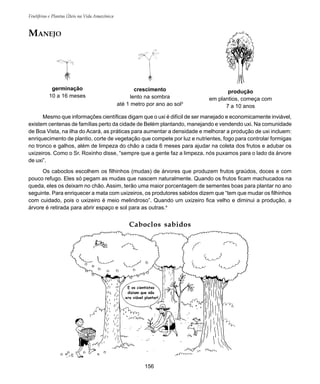 156
Frutíferas e Plantas Úteis na Vida Amazônica
Mesmo que informações científicas digam que o uxi é difícil de ser manejado e economicamente inviável,
existem centenas de famílias perto da cidade de Belém plantando, manejando e vendendo uxi. Na comunidade
de Boa Vista, na ilha do Acará, as práticas para aumentar a densidade e melhorar a produção de uxi incluem:
enriquecimento de plantio, corte de vegetação que compete por luz e nutrientes, fogo para controlar formigas
no tronco e galhos, além de limpeza do chão a cada 6 meses para ajudar na coleta dos frutos e adubar os
uxizeiros. Como o Sr. Roxinho disse, “sempre que a gente faz a limpeza, nós puxamos para o lado da árvore
de uxi”.
Os caboclos escolhem os filhinhos (mudas) de árvores que produzem frutos graúdos, doces e com
pouco refugo. Eles só pegam as mudas que nascem naturalmente. Quando os frutos ficam machucados na
queda, eles os deixam no chão. Assim, terão uma maior porcentagem de sementes boas para plantar no ano
seguinte. Para enriquecer a mata com uxizeiros, os produtores sabidos dizem que “tem que mudar os filhinhos
com cuidado, pois o uxizeiro é meio melindroso”. Quando um uxizeiro fica velho e diminui a produção, a
árvore é retirada para abrir espaço e sol para as outras.4
Caboclos sabidos
MANEJO
germinação
10 a 16 meses
crescimento
lento na sombra
até 1 metro por ano ao sol3
produção
em plantios, começa com
7 a 10 anos
 