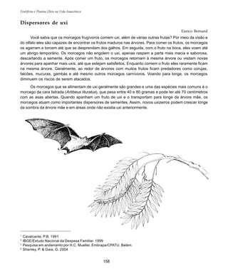 158
Frutíferas e Plantas Úteis na Vida Amazônica
Dispersores de uxi
Enrico Bernard
Você sabia que os morcegos frugívoros comem uxi, além de várias outras frutas? Por meio da visão e
do olfato eles são capazes de encontrar os frutos maduros nas árvores. Para comer os frutos, os morcegos
os agarram e torcem até que se desprendam dos galhos. Em seguida, com o fruto na boca, eles voam até
um abrigo temporário. Os morcegos não engolem o uxi, apenas raspam a parte mais macia e saborosa,
descartando a semente. Após comer um fruto, os morcegos retornam à mesma árvore ou visitam novas
árvores para apanhar mais uxis, até que estejam satisfeitos. Enquanto comem o fruto eles raramente ficam
na mesma árvore. Geralmente, ao redor de árvores com muitos frutos ficam predadores como corujas,
falcões, mucuras, gambás e até mesmo outros morcegos carnívoros. Voando para longe, os morcegos
diminuem os riscos de serem atacados.
Os morcegos que se alimentam de uxi geralmente são grandes e uma das espécies mais comuns é o
morcego da cara listrada (Artibeus lituratus), que pesa entre 40 e 80 gramas e pode ter até 70 centímetros
com as asas abertas. Quando apanham um fruto de uxi e o transportam para longe da árvore mãe, os
morcegos atuam como importantes dispersores de sementes. Assim, novos uxizeiros podem crescer longe
da sombra da árvore mãe e em áreas onde não existia uxi anteriormente.
1
Cavalcante, P.B. 1991
2
IBGE/Estudo Nacional da Despesa Familiar. 1999
3
Pesquisa em andamento por H.C. Mueller, Embrapa/CPATU, Belém.
4
Shanley, P. & Gaia, G. 2004
 