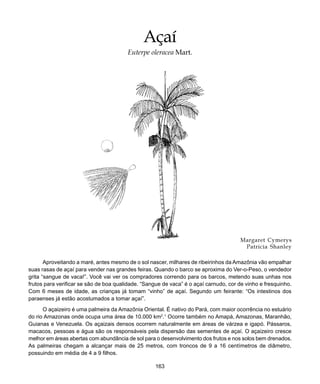 163
Açaí
Margaret Cymerys
Patricia Shanley
Aproveitando a maré, antes mesmo de o sol nascer, milhares de ribeirinhos da Amazônia vão empalhar
suas rasas de açaí para vender nas grandes feiras. Quando o barco se aproxima do Ver-o-Peso, o vendedor
grita “sangue de vaca!”. Você vai ver os compradores correndo para os barcos, metendo suas unhas nos
frutos para verificar se são de boa qualidade. “Sangue de vaca” é o açaí carnudo, cor de vinho e fresquinho.
Com 6 meses de idade, as crianças já tomam “vinho” de açaí. Segundo um feirante: “Os intestinos dos
paraenses já estão acostumados a tomar açaí”.
O açaizeiro é uma palmeira da Amazônia Oriental. É nativo do Pará, com maior ocorrência no estuário
do rio Amazonas onde ocupa uma área de 10.000 km2
.1
Ocorre também no Amapá, Amazonas, Maranhão,
Guianas e Venezuela. Os açaizais densos ocorrem naturalmente em áreas de várzea e igapó. Pássaros,
macacos, pessoas e água são os responsáveis pela dispersão das sementes de açaí. O açaizeiro cresce
melhor em áreas abertas com abundância de sol para o desenvolvimento dos frutos e nos solos bem drenados.
As palmeiras chegam a alcançar mais de 25 metros, com troncos de 9 a 16 centímetros de diâmetro,
possuindo em média de 4 a 9 filhos.
Açaí
Euterpe oleracea Mart.
 