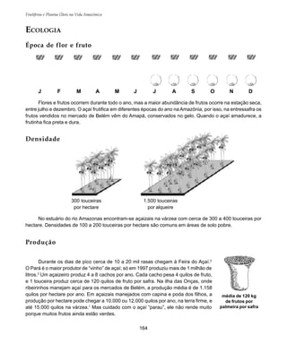 164
Frutíferas e Plantas Úteis na Vida Amazônica
média de 120 kg
de frutos por
palmeira por safra
J F M A M J J A S O N D
Flores e frutos ocorrem durante todo o ano, mas a maior abundância de frutos ocorre na estação seca,
entre julho e dezembro. O açaí frutifica em diferentes épocas do ano na Amazônia, por isso, na entressafra os
frutos vendidos no mercado de Belém vêm do Amapá, conservados no gelo. Quando o açaí amadurece, a
frutinha fica preta e dura.
ECOLOGIA
Época de flor e fruto
No estuário do rio Amazonas encontram-se açaizais na várzea com cerca de 300 a 400 touceiras por
hectare. Densidades de 100 a 200 touceiras por hectare são comuns em áreas de solo pobre.
Produção
Durante os dias de pico cerca de 10 a 20 mil rasas chegam à Feira do Açaí.2
O Pará é o maior produtor de “vinho” de açaí; só em 1997 produziu mais de 1 milhão de
litros.3
Um açaizeiro produz 4 a 8 cachos por ano. Cada cacho pesa 4 quilos de fruto,
e 1 touceira produz cerca de 120 quilos de fruto por safra. Na ilha das Onças, onde
ribeirinhos manejam açaí para os mercados de Belém, a produção média é de 1.158
quilos por hectare por ano. Em açaizais manejados com capina e poda dos filhos, a
produção por hectare pode chegar a 10.000 ou 12.000 quilos por ano, na terra firme, e
até 15.000 quilos na várzea.1
Mas cuidado com o açaí “parau”, ele não rende muito
porque muitos frutos ainda estão verdes.
Densidade
300 touceiras
por hectare
1.500 touceiras
por alqueire
 