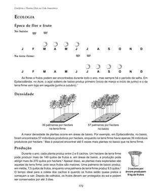 172
Frutíferas e Plantas Úteis na Vida Amazônica
No baixio:
Na terra firme:
As flores e frutos podem ser encontrados durante todo o ano, mas sempre há o período da safra. Em
Epitaciolândia, no Acre, o açaí solteiro de baixio produz primeiro (início de março a início de junho) e o da
terra firme vem logo em seguida (junho a outubro).1
ECOLOGIA
Época de flor e fruto
Produção
Durante o ano, cada planta produz entre 2 e 6 cachos. Um hectare de terra firme
pode produzir mais de 140 quilos de frutos e, em áreas de baixio, a produção pode
atingir mais de 270 quilos por hectare.2
Apesar disso, as plantas mais exploradas são
aquelas de terra firme, pois seus frutos são maiores. Uma palmeira de baixio produz,
em média, 7,5 quilos de frutos, enquanto uma palmeira de terra firme produz 8,5 quilos.2
O tempo ideal para a coleta dos cachos é quando os frutos estão quase pretos e
começam a cair. Depois de colhidos, os frutos devem ser protegidos do sol e podem
ser conservados por até 3 dias.
J F M A M J J A S O N D
J F M A M J J A S O N D
Densidade
A maior densidade de plantas ocorre em áreas de baixio. Por exemplo, em Epitaciolândia, no baixio,
foram encontrados 57 indivíduos produtivos por hectare, enquanto na terra firme havia apenas 39 indivíduos
produtivos por hectare.1
Mas é possível encontrar até 5 vezes mais plantas no baixio que na terra firme.
39 palmeiras por hectare
na terra firme
57 palmeiras por hectare
no baixio
3 cachos por
árvore produzem
8 kg de frutos
 