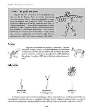 174
Frutíferas e Plantas Úteis na Vida Amazônica
“Vinho” de porta em porta
Hoje em dia, você não precisa ter receio de beber açaí
nas ruas de Rio Branco. Pois, em muitos lugares, os
comerciantes estão usando máquinas despolpadeiras, água
mineral e geladeira para conservar o “vinho”. Você também
pode encontrá-lo para venda nos supermercados. Mas no
passado era diferente. O “vinho” de açaí era preparado de forma
artesanal, ou seja, a polpa da fruta era extraída com as mãos.
Para a venda, os comerciantes amarravam 15 a 20 sacos de
“vinho” em uma vara, que levavam no ombro, e saíam para as
ruas. Assim, os saquinhos com “vinho” de açaí ficavam
expostos ao sol o dia inteiro; eles anunciavam: “açaí, açaí”...
CAÇA
Segundo os moradores dos seringais Dois Irmãos e Caquetá,
papagaios, araras, tucanos e jacus são os bichos que mais comem
e dispersam sementes de açaí solteiro. Os cientistas concordam
com os moradores e, além disso, descobriram que 59% da comida
dos veados vermelhos e 80% da comida dos veados cinzentos é
açaí.2
Existem poucos estudos sobre o manejo do açaí solteiro, comparado com o açaí de touceira. Porém, os
cientistas dão uma dica: colhendo os cachos durante o pico da safra e deixando os frutos caírem no chão no
resto do ano, todos podem ganhar - os bichos matam a fome, o açaí se reproduz e você toma o “vinho”.1
MANEJO
germinação
30 a 40 dias
crescimento
5 metros por ano
produção
4 anos
 