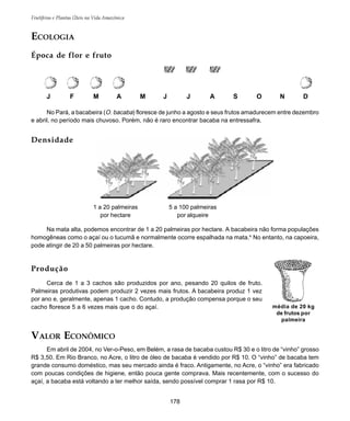 178
Frutíferas e Plantas Úteis na Vida Amazônica
J F M A M J J A S O N D
média de 20 kg
de frutos por
palmeira
No Pará, a bacabeira (O. bacaba) floresce de junho a agosto e seus frutos amadurecem entre dezembro
e abril, no período mais chuvoso. Porém, não é raro encontrar bacaba na entressafra.
ECOLOGIA
Época de flor e fruto
Na mata alta, podemos encontrar de 1 a 20 palmeiras por hectare. A bacabeira não forma populações
homogêneas como o açaí ou o tucumã e normalmente ocorre espalhada na mata.4
No entanto, na capoeira,
pode atingir de 20 a 50 palmeiras por hectare.
VALOR ECONÔMICO
Em abril de 2004, no Ver-o-Peso, em Belém, a rasa de bacaba custou R$ 30 e o litro de “vinho” grosso
R$ 3,50. Em Rio Branco, no Acre, o litro de óleo de bacaba é vendido por R$ 10. O “vinho” de bacaba tem
grande consumo doméstico, mas seu mercado ainda é fraco. Antigamente, no Acre, o “vinho” era fabricado
com poucas condições de higiene, então pouca gente comprava. Mais recentemente, com o sucesso do
açaí, a bacaba está voltando a ter melhor saída, sendo possível comprar 1 rasa por R$ 10.
Densidade
Produção
Cerca de 1 a 3 cachos são produzidos por ano, pesando 20 quilos de fruto.
Palmeiras produtivas podem produzir 2 vezes mais frutos. A bacabeira produz 1 vez
por ano e, geralmente, apenas 1 cacho. Contudo, a produção compensa porque o seu
cacho floresce 5 a 6 vezes mais que o do açaí.
1 a 20 palmeiras
por hectare
5 a 100 palmeiras
por alqueire
 