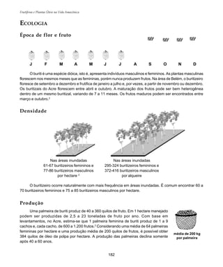182
Frutíferas e Plantas Úteis na Vida Amazônica
J F M A M J J A S O N D
Nas áreas inundadas
61-67 buritizeiros femininos e
77-86 buritizeiros masculinos
por hectare 2
Nas áreas inundadas
295-324 buritizeiros femininos e
372-416 buritizeiros masculinos
por alqueire
ECOLOGIA
Época de flor e fruto
Densidade
O buriti é uma espécie dióica, isto é, apresenta indivíduos masculinos e femininos. As plantas masculinas
florescem nos mesmos meses que as femininas, porém nunca produzem frutos. Na área de Belém, o buritizeiro
floresce de setembro a dezembro e frutifica de janeiro a julho e, por vezes, a partir de novembro ou dezembro.
Os buritizais do Acre florescem entre abril e outubro. A maturação dos frutos pode ser bem heterogênea
dentro de um mesmo buritizal, variando de 7 a 11 meses. Os frutos maduros podem ser encontrados entre
março e outubro.2
O buritizeiro ocorre naturalmente com mais frequência em áreas inundadas. É comum encontrar 60 a
70 buritizeiros femininos e 75 a 85 buritizeiros masculinos por hectare.
Produção
Uma palmeira de buriti produz de 40 a 360 quilos de fruto. Em 1 hectare manejado
podem ser produzidas de 2,5 a 23 toneladas de fruto por ano. Com base em
levantamentos, no Acre, estima-se que 1 palmeira feminina de buriti produz de 1 a 9
cachos e, cada cacho, de 600 a 1.200 frutos.2
Considerando uma média de 64 palmeiras
femininas por hectare e uma produção média de 200 quilos de frutos, é possível obter
384 quilos de óleo da polpa por hectare. A produção das palmeiras declina somente
após 40 a 60 anos.
média de 200 kg
por palmeira
 