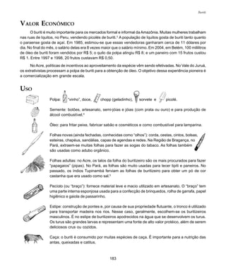 183
Buriti
VALOR ECONÔMICO
O buriti é muito importante para os mercados formal e informal daAmazônia. Muitas mulheres trabalham
nas ruas de Iquitos, no Peru, vendendo picolés de buriti.3
A população de Iquitos gosta de buriti tanto quanto
o paraense gosta de açaí. Em 1985, estimou-se que essas vendedoras ganharam cerca de 11 dólares por
dia. No final do mês, o salário delas era 8 vezes maior que o salário mínimo. Em 2004, em Belém, 100 mililitros
de óleo de buriti foram vendidos por R$ 5; o quilo da polpa atingiu R$ 8; e um paneiro com 15 frutos custou
R$ 1. Entre 1997 e 1998, 20 frutos custavam R$ 0,50.
No Acre, políticas de incentivos ao aproveitamento da espécie vêm sendo efetivadas. No Vale do Juruá,
os extrativistas processam a polpa de buriti para a obtenção de óleo. O objetivo dessa experiência pioneira é
a comercialização em grande escala.
USO
Polpa: “vinho”, doce, chopp (geladinho), sorvete e picolé.
Semente: botões, artesanato, semi-jóias e jóias (com prata ou ouro) e para produção de
álcool combustível.4
Óleo: para fritar peixe, fabricar sabão e cosméticos e como combustível para lamparina.
Folhas novas (ainda fechadas, conhecidas como “olhos”): corda, cestas, cintos, bolsas,
esteiras, chapéus, sandálias, capas de agendas e redes. Na Região de Bragança, no
Pará, extraem-se muitas folhas para fazer as sogas do tabaco. As folhas também
são usadas como adubo orgânico.
Folhas adultas: no Acre, os talos da folha do buritizeiro são os mais procurados para fazer
“papagaios” (pipas). No Pará, as folhas são muito usadas para tecer tipiti e paneiros. No
passado, os índios Tupinambá ferviam as folhas de buritizeiro para obter um pó de cor
castanha que era usado como sal.5
Pecíolo (ou “braço”): fornece material leve e macio utilizado em artesanato. O “braço” tem
uma parte interna esponjosa usada para a confecção de brinquedos, rolha de garrafa, papel
higiênico e gaiola de passarinho.
Estipe: construção de pontes e, por causa de sua propriedade flutuante, o tronco é utilizado
para transportar madeira nos rios. Nesse caso, geralmente, escolhem-se os buritizeiros
masculinos. É no estipe de buritizeiros apodrecidos na água que se desenvolvem os turus.
Os turus são grandes larvas e representam uma fonte de alto valor protéico, além de serem
deliciosos crus ou cozidos.
Caça: o buriti é consumido por muitas espécies de caça. É importante para a nutrição das
antas, queixadas e catitus.
 