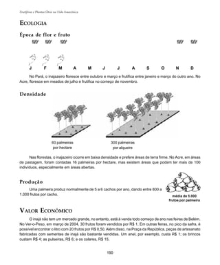 190
Frutíferas e Plantas Úteis na Vida Amazônica
J F M A M J J A S O N D
ECOLOGIA
Época de flor e fruto
No Pará, o inajazeiro floresce entre outubro e março e frutifica entre janeiro e março do outro ano. No
Acre, floresce em meados de julho e frutifica no começo de novembro.
Densidade
Nas florestas, o inajazeiro ocorre em baixa densidade e prefere áreas de terra firme. No Acre, em áreas
de pastagem, foram contadas 16 palmeiras por hectare, mas existem áreas que podem ter mais de 100
indivíduos, especialmente em áreas abertas.
VALOR ECONÔMICO
O inajá não tem um mercado grande, no entanto, está à venda todo começo de ano nas feiras de Belém.
No Ver-o-Peso, em março de 2004, 30 frutos foram vendidos por R$ 1. Em outras feiras, no pico da safra, é
possível encontrar o litro com 20 frutos por R$ 0,50. Além disso, na Praça da República, peças de artesanato
fabricadas com sementes de inajá são bastante vendidas. Um anel, por exemplo, custa R$ 1; os brincos
custam R$ 4; as pulseiras, R$ 6; e os colares, R$ 15.
60 palmeiras
por hectare
300 palmeiras
por alqueire
Produção
Uma palmeira produz normalmente de 5 a 6 cachos por ano, dando entre 800 a
1.000 frutos por cacho. média de 5.000
frutos por palmeira
 