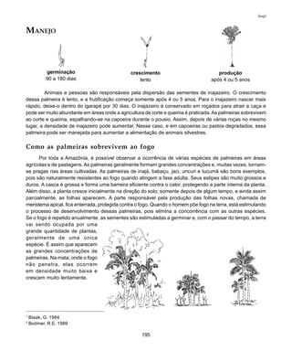 195
Inajá
germinação
90 a 180 dias
crescimento
lento
produção
após 4 ou 5 anos
1
Blaak, G. 1984
2
Bodmer, R.E. 1989
MANEJO
Animais e pessoas são responsáveis pela dispersão das sementes de inajazeiro. O crescimento
dessa palmeira é lento, e a frutificação começa somente após 4 ou 5 anos. Para o inajazeiro nascer mais
rápido, deixe-o dentro do igarapé por 30 dias. O inajazeiro é conservado em roçados para atrair a caça e
pode ser muito abundante em áreas onde a agricultura de corte e queima é praticada.As palmeiras sobrevivem
ao corte e queima, espalhando-se na capoeira durante o pousio. Assim, depois de várias roças no mesmo
lugar, a densidade de inajazeiro pode aumentar. Nesse caso, e em capoeiras ou pastos degradados, essa
palmeira pode ser manejada para aumentar a alimentação de animais silvestres.
Como as palmeiras sobrevivem ao fogo
Por toda a Amazônia, é possível observar a ocorrência de várias espécies de palmeiras em áreas
agrícolas e de pastagens. As palmeiras geralmente formam grandes concentrações e, muitas vezes, tornam-
se pragas nas áreas cultivadas. As palmeiras de inajá, babaçu, jaci, uricuri e tucumã são bons exemplos,
pois são naturalmente resistentes ao fogo quando atingem a fase adulta. Seus estipes são muito grossos e
duros. A casca é grossa e forma uma barreira eficiente contra o calor, protegendo a parte interna da planta.
Além disso, a planta cresce inicialmente na direção do solo; somente depois de algum tempo, e ainda assim
parcialmente, as folhas aparecem. A parte responsável pela produção das folhas novas, chamada de
meristema apical, fica enterrada, protegida contra o fogo. Quando o homem põe fogo na terra, está estimulando
o processo de desenvolvimento dessas palmeiras, pois elimina a concorrência com as outras espécies.
Se o fogo é repetido anualmente, as sementes são estimuladas a germinar e, com o passar do tempo, a terra
vai sendo ocupada por uma
grande quantidade de plantas,
geralmente de uma única
espécie. É assim que aparecem
as grandes concentrações de
palmeiras. Na mata, onde o fogo
não penetra, elas ocorrem
em densidade muito baixa e
crescem muito lentamente.
 