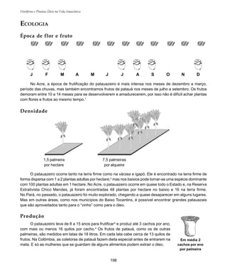Frutíferas e Plantas Úteis na Vida Amazônica
198
ECOLOGIA
Época de flor e fruto
No Acre, a época de frutificação do patauazeiro é mais intensa nos meses de dezembro a março,
período das chuvas, mas também encontramos frutos de patauá nos meses de julho a setembro. Os frutos
demoram entre 10 a 14 meses para se desenvolverem e amadurecerem, por isso não é difícil achar plantas
com flores e frutos ao mesmo tempo.1
O patauazeiro ocorre tanto na terra firme como na várzea e igapó. Ele é encontrado na terra firme de
forma dispersa com 1 a 2 plantas adultas por hectare,2
mas nos baixios pode tornar-se uma espécie dominante
com 100 plantas adultas em 1 hectare. No Acre, o patauazeiro ocorre em quase todo o Estado e, na Reserva
Extrativista Chico Mendes, já foram encontradas 48 plantas por hectare no baixio e 16 na terra firme.
No Pará, no passado, o patauazeiro foi muito explorado, chegando a quase desaparecer em alguns lugares.
Mas em outras áreas, como nos municípios do Baixo Tocantins, é possível encontrar grandes patauazais
que são aproveitados tanto para o “vinho” como para o óleo.
Produção
O patauazeiro leva de 8 a 15 anos para frutificar3
e produz até 3 cachos por ano,
com mais ou menos 16 quilos por cacho.4
Os frutos de patauá, como os de outras
palmeiras, são medidos em latas de 18 litros. Em cada lata cabe cerca de 13 quilos de
frutos. Na Colômbia, as coletoras de patauá fazem dieta especial antes de entrarem na
mata. E só as mulheres que se guardam de alguns alimentos podem extrair o óleo.
Em média 2
cachos por ano
por palmeira
7,5 palmeiras
por alqueire
1,5 palmeira
por hectare
Densidade
J F M A M J J A S O N D
 