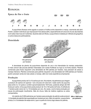 Frutíferas e Plantas Úteis na Vida Amazônica
204
ECOLOGIA
Época de flor e fruto
J F M A M J J A S O N D
A pupunheira floresce entre agosto e outubro e frutifica entre dezembro e março, raramente até abril.
Porém, existem indivíduos que reproduzem fora dessa safra, especialmente em anos de chuvas abundantes
e em solos mais ricos em nutrientes. Quando está com flores, a pupunheira é visitada por milhares de gorgulhos
e outros besouros polinizadores.
Densidade
A densidade de plantio da pupunheira depende do uso e da intensidade do manejo pretendido.
O mais comum são poucas plantas misturadas com outras frutíferas na roça ou na horta caseira. Plantios
comerciais para frutos requerem uma densidade de 400 plantas por hectare, mas precisam de adubo e
manejo intensivo. Plantios comerciais para palmito requerem uma densidade de 5.000 plantas por hectare,
porém precisam ainda de mais adubo e manejo, além de muita experiência empresarial.
Produção
Apupunheira produz de 5 a 10 cachos por ano. No entanto, há palmeiras que chegam
a produzir 25 cachos em apenas 1 ano chuvoso em solo bom. Cada cacho de pupunha
pesa entre 2 a 12 quilos e contém aproximadamente 100 frutos, podendo atingir até 400
frutos por cacho. Uma pupunheira pode produzir de 10 a 120 quilos de frutos. A colheita de
1 hectare pode variar de 4 a 10 toneladas por ano. Às vezes, ocorre baixa produção por
causa da polinização insuficiente, falta de chuva, falta de matéria orgânica ou solos
compactados.
Um plantio de 5.000 palmeiras por hectare para produção de palmito pode produzir
1,2 tonelada de palmito tipo exportação por hectare por ano.Além do palmito, a pupunheira
produz 2 a 3 toneladas de estipe tenro, que é a parte do tronco logo abaixo do palmito.
500 a 1.000 frutos
por palmeira
500 palmeiras
por alqueire
100 palmeiras
por hectare
 