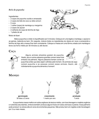 207
Pupunha
Bolo de pupunha
Ingredientes:
- 2 copos de pupunha cozida e amassada
- 2 copos de leite de coco ou leite comum
- 5 ovos
- 1 colher (sopa) de manteiga ou margarina
- 2 copos de açúcar
- 2 colheres de sopa de farinha de trigo
- 1 pitada de sal
Modo de fazer:
Bata a pupunha e o leite no liquidificador por 5 minutos. Coloque em uma tigela a manteiga, o açúcar e
as gemas, batendo-os bem. Em seguida, misture todos os ingredientes às claras em neve e acrescente a
farinha de trigo até a massa ficar bem consistente. Coloque a massa em uma fôrma untada com manteiga e
leve-a ao forno médio por 30 minutos ou até dourar.
germinação
30 dias a 2 anos
crescimento
1 metro por ano
produção
7 anos
CAÇA
Alguns animais silvestres gostam de pupunha.
Veado, jacu e outros pássaros grandes comem essa fruta
embaixo da palmeira. Alguns pássaros tentam comer as
pupunhas antes que elas sejam colhidas pelo homem. Os animais de caça
comem pupunha e as pessoas comem esses animais. Assim, até
indiretamente a pupunha alimenta o homem!
A pupunheira cresce melhor em solos argilosos de textura média, com boa drenagem e matéria orgânica
e nutrientes abundantes, embora também produza alguns frutos em solos arenosos e pobres. Essa palmeira
pode produzir na várzea alta em anos de enchentes pequenas. Não produz bem em regiões onde há estiagem
por 3 ou mais meses.
MANEJO
 