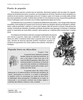 Frutíferas e Plantas Úteis na Vida Amazônica
208
Para plantar pupunha, primeiro lave as sementes, eliminando qualquer resto de polpa. Em seguida,
coloque as sementes para secar na sombra, em local arejado por 24 horas. Semeie em sacos de plástico ou
canteiros de solo arenoso. A germinação ocorre em 3 meses e, após 3 a 6 meses, as mudas estão prontas
para serem plantadas no campo. O plantio deve ser feito no início da época chuvosa.Apupunheira geralmente
inicia a frutificação a partir do terceiro ano e frutifica regularmente depois de 6 anos.2
Considerando que a pupunheira é uma planta de perfilhamento abundante, o seu manejo é feito retirando
os perfilhos, tanto aqueles em excesso como os troncos velhos que atingirem alturas que dificultam a colheita.
Assim, pode-se aproveitar o palmito e o tronco para madeira, além de renovar a touceira. Essa técnica de
manejo, conhecida por desbaste, possibilita a produção de plantas mais vigorosas e produtivas. O desbaste
ajuda no crescimento de novos filhos, portanto, deixe apenas os 4 melhores filhos quando fizer o manejo
anual.
Os indígenas da Amazônia costumam conjugar as plantações de pupunha
com maniva; a pupunha, nesse caso, é plantada no centro da roça. Assim,
depois de colher a mandioca ainda resta a pupunha para comer ou atrair
caça. Estudos de técnicas agrícolas também mostraram sucesso no
consórcio de pupunheira com outros cultivos como abacaxi, maracujá ou
hortaliças.
1
SEBRAE. 1995
2
Calzavara, B.B.G. 1987
Plantio de pupunha
Pupunha brava ou chica-chica
Douglas C. Daly
A pupunha brava (Aiphanes aculeata)
também parece ter potencial econômico, já
que a sua polpa é mais doce que a da
pupunha (Bactris gasipaes). Além disso, sua
semente também é comestível. Os frutos da
pupunheira são vendidos na Colômbia tanto
para a semente quanto para a polpa, que é
usada para fazer doces.
A pupunha brava não cresce muito;
alcança de 3 a 10 metros de altura. Os frutos são vermelhos, às
vezes, alaranjados ou brancos, e a polpa é alaranjada.
A espécie ocorre no sub-bosque em matas de terra firme.
A distribuição nativa acompanha a Cordillera de La Costa, na
Venezuela, e as encostas orientais dos Andes, desde a
Colômbia até a Bolívia, inclusive o Acre, no Brasil.
 