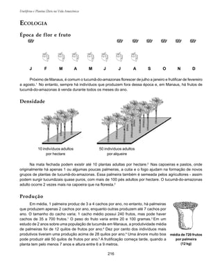 Frutíferas e Plantas Úteis na Vida Amazônica
216
Produção
Em média, 1 palmeira produz de 3 a 4 cachos por ano, no entanto, há palmeiras
que produzem apenas 2 cachos por ano, enquanto outras produzem até 7 cachos por
ano. O tamanho do cacho varia; 1 cacho médio possui 240 frutos, mas pode haver
cachos de 35 a 700 frutos.1
O peso do fruto varia entre 20 e 100 gramas.3
Em um
estudo de 2 anos sobre uma população de tucumãs em Manaus, a produtividade média
de palmeiras foi de 12 quilos de frutos por ano.4
Dez por cento dos indivíduos mais
produtivos tiveram uma produção acima de 28 quilos por ano.4
Uma árvore muito boa
pode produzir até 50 quilos de frutos por ano.5
A frutificação começa tarde, quando a
planta tem pelo menos 7 anos e altura entre 6 a 9 metros.
50 indivíduos adultos
por alqueire
10 indivíduos adultos
por hectare
ECOLOGIA
Época de flor e fruto
Densidade
Na mata fechada podem existir até 10 plantas adultas por hectare.2
Nas capoeiras e pastos, onde
originalmente há apenas 1 ou algumas poucas palmeiras, a cutia e o fogo ajudam na formação de novos
grupos de plantas de tucumã-do-amazonas. Essa palmeira também é semeada pelos agricultores - assim
podem surgir tucumãzais quase puros, com mais de 100 pés adultos por hectare. O tucumã-do-amazonas
adulto ocorre 2 vezes mais na capoeira que na floresta.2
média de 720 frutos
por palmeira
(12 kg)
J F M A M J J A S O N D
Próximo de Manaus, é comum o tucumã-do-amazonas florescer de julho a janeiro e frutificar de fevereiro
a agosto.1
No entanto, sempre há indivíduos que produzem fora dessa época e, em Manaus, há frutos de
tucumã-do-amazonas à venda durante todos os meses do ano.
 