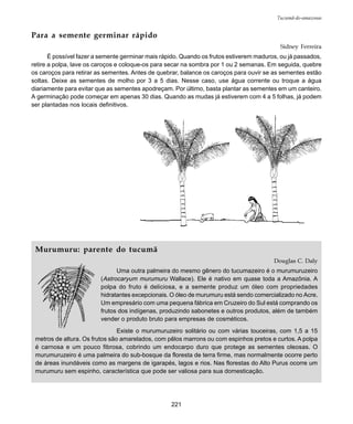 221
Tucumã-do-amazonas
Para a semente germinar rápido
Sidney Ferreira
É possível fazer a semente germinar mais rápido. Quando os frutos estiverem maduros, ou já passados,
retire a polpa, lave os caroços e coloque-os para secar na sombra por 1 ou 2 semanas. Em seguida, quebre
os caroços para retirar as sementes. Antes de quebrar, balance os caroços para ouvir se as sementes estão
soltas. Deixe as sementes de molho por 3 a 5 dias. Nesse caso, use água corrente ou troque a água
diariamente para evitar que as sementes apodreçam. Por último, basta plantar as sementes em um canteiro.
A germinação pode começar em apenas 30 dias. Quando as mudas já estiverem com 4 a 5 folhas, já podem
ser plantadas nos locais definitivos.
Murumuru: parente do tucumã
Douglas C. Daly
Uma outra palmeira do mesmo gênero do tucumazeiro é o murumuruzeiro
(Astrocaryum murumuru Wallace). Ele é nativo em quase toda a Amazônia. A
polpa do fruto é deliciosa, e a semente produz um óleo com propriedades
hidratantes excepcionais. O óleo de murumuru está sendo comercializado no Acre.
Um empresário com uma pequena fábrica em Cruzeiro do Sul está comprando os
frutos dos indígenas, produzindo sabonetes e outros produtos, além de também
vender o produto bruto para empresas de cosméticos.
Existe o murumuruzeiro solitário ou com várias touceiras, com 1,5 a 15
metros de altura. Os frutos são amarelados, com pêlos marrons ou com espinhos pretos e curtos. A polpa
é carnosa e um pouco fibrosa, cobrindo um endocarpo duro que protege as sementes oleosas. O
murumuruzeiro é uma palmeira do sub-bosque da floresta de terra firme, mas normalmente ocorre perto
de áreas inundáveis como as margens de igarapés, lagos e rios. Nas florestas do Alto Purus ocorre um
murumuru sem espinho, característica que pode ser valiosa para sua domesticação.
 