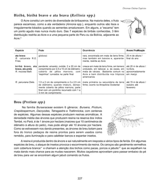 227
Diversas Outras Espécies
Biribá, biribá bravo e ata brava (Rollinia spp.)
O Acre constitui um centro de diversidade de biribazeiros. Na maioria deles, o fruto
parece escamoso, como a ata verdadeira (Annona spp.), enquanto outros são lisos e
irregularmente lobados quando as sementes amadurecem. Em alguns, a “escama” tem
um ponto agudo mas nunca muito duro. Das 7 espécies de biribás conhecidas, 3 têm
distribuição restrita ao Acre e a uma pequena parte do Peru ou da Bolívia, adjacente ao
Acre.2
Breu (Protium spp.)
Na família Burseraceae existem 6 gêneros: Bursera, Protium,
Crepidospermum, Dacryodes, Tetragastris e Trattinnickia, com centenas
de espécies. Algumas dessas espécies produzem resinas aromáticas. A
densidade média das árvores que produzem resina na reserva dos índios
Tembé, no Pará, é de 1 árvore por hectare (maiores que 10 centímetros de
diâmetro à altura do peito), mas pode atingir até 10 árvores por hectare.
Como se estivessem nos dando presentes, as árvores de breu botam para
fora do tronco pedaços de resina prontos para serem usados como
remédio, para iluminação e para calafetar barcos e espantar insetos.
A resina é produzida dentro da árvore e sai naturalmente em resposta a vários tipos de ferida. Em algumas
espécies de breu, o ataque de insetos provoca o escorrimento da resina. Os caroços são geralmente vermelhos
com cobertura branca11
e chamam a atenção dos bichos como pacas, porcos e jabutis12
que as espalham na
mata dando mais chance para as mudas nascerem. Muitos caçadores aproveitam para passar embaixo do pé
de breu para ver se encontram algum jabuti comendo os frutos.
Espécie
ata brava
R. calcarata R.E.
Fries
biribá bravo, ata
brava, ata preta
R. mucosa Baill.
R. peruviana Diels
Fruto
globoso
pendente; amarelo; ovóide; 2 a 20 cm de
comprimento por 2,5 a 15 cm de diâmetro;
coberto de pêlos marrons; com
“espinhos” curvados na parte final
1,5 a 2 cm de comprimento e 2 a 2,5 cm
de diâmetro; quando imaturo, densa-
mente coberto de pêlos marrons; parte
final com um pontinho recurvado com 1 a
3 mm de comprimento
Ocorrência
rara, encontrada em mata de terra firme,
mas também em baixios e, aparente-
mente, restrita ao Acre
cresce em mata de terra firme, em terreno
ondulado, em tabocal, e, às vezes, em
mata de várzea. Bastante comum no
Acre e bem distribuída nos trópicos
americanos
mata primária ou secundária de terra
firme; ocorre na Amazônia Ocidental
Árvore/Frutificação
25 m de altura /
final do ano
até 20 m de altura /
no Acre,
aproximadamente
em março
até 15 m de altura /
outubro até
fevereiro
 