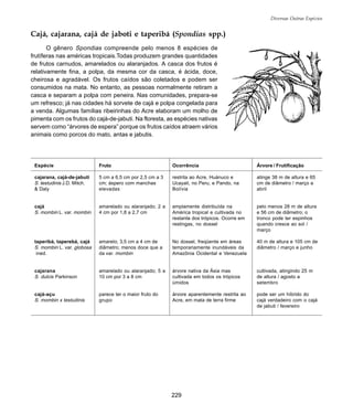 229
Diversas Outras Espécies
Cajá, cajarana, cajá de jaboti e taperibá (Spondias spp.)
O gênero Spondias compreende pelo menos 8 espécies de
frutíferas nas américas tropicais.Todas produzem grandes quantidades
de frutos carnudos, amarelados ou alaranjados. A casca dos frutos é
relativamente fina, a polpa, da mesma cor da casca, é ácida, doce,
cheirosa e agradável. Os frutos caídos são coletados e podem ser
consumidos na mata. No entanto, as pessoas normalmente retiram a
casca e separam a polpa com peneira. Nas comunidades, prepara-se
um refresco; já nas cidades há sorvete de cajá e polpa congelada para
a venda. Algumas famílias ribeirinhas do Acre elaboram um molho de
pimenta com os frutos do cajá-de-jabuti. Na floresta, as espécies nativas
servem como “árvores de espera” porque os frutos caídos atraem vários
animais como porcos do mato, antas e jabutis.
Espécie
cajarana, cajá-de-jabuti
S. testudinis J.D. Mitch.
& Daly
cajá
S. mombin L. var. mombin
taperibá, taperebá, cajá
S. mombin L. var. globosa
ined.
cajarana
S. dulcis Parkinson
cajá-açu
S. mombin x testudinis
Fruto
5 cm a 6,5 cm por 2,5 cm a 3
cm; áspero com manchas
elevadas
amarelado ou alaranjado; 2 a
4 cm por 1,8 a 2,7 cm
amarelo; 3,5 cm a 4 cm de
diâmetro; menos doce que a
da var. mombin
amarelado ou alaranjado; 5 a
10 cm por 3 a 8 cm
parece ter o maior fruto do
grupo
Ocorrência
restrita ao Acre, Huánuco e
Ucayali, no Peru, e Pando, na
Bolívia
amplamente distribuída na
América tropical e cultivada no
restante dos trópicos. Ocorre em
restingas, no dossel
No dossel, freqüente em áreas
temporariamente inundáveis da
Amazônia Ocidental e Venezuela
árvore nativa da Ásia mas
cultivada em todos os trópicos
úmidos
árvore aparentemente restrita ao
Acre, em mata de terra firme
Árvore / Frutificação
atinge 38 m de altura e 65
cm de diâmetro / março a
abril
pelo menos 28 m de altura
e 56 cm de diâmetro; o
tronco pode ter espinhos
quando cresce ao sol /
março
40 m de altura e 105 cm de
diâmetro / março e junho
cultivada, atingindo 25 m
de altura / agosto a
setembro
pode ser um híbrido do
cajá verdadeiro com o cajá
de jabuti / fevereiro
 