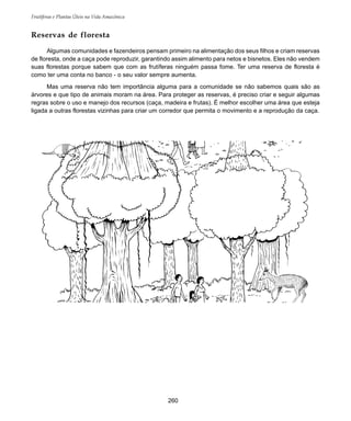 Frutíferas e Plantas Úteis na Vida Amazônica
260
Algumas comunidades e fazendeiros pensam primeiro na alimentação dos seus filhos e criam reservas
de floresta, onde a caça pode reproduzir, garantindo assim alimento para netos e bisnetos. Eles não vendem
suas florestas porque sabem que com as frutíferas ninguém passa fome. Ter uma reserva de floresta é
como ter uma conta no banco - o seu valor sempre aumenta.
Mas uma reserva não tem importância alguma para a comunidade se não sabemos quais são as
árvores e que tipo de animais moram na área. Para proteger as reservas, é preciso criar e seguir algumas
regras sobre o uso e manejo dos recursos (caça, madeira e frutas). É melhor escolher uma área que esteja
ligada a outras florestas vizinhas para criar um corredor que permita o movimento e a reprodução da caça.
Reservas de floresta
 