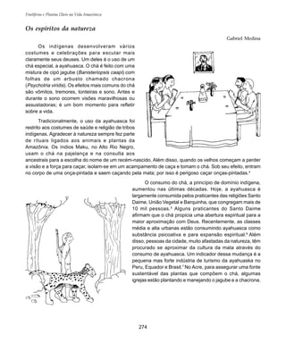 Frutíferas e Plantas Úteis na Vida Amazônica
274
Os espíritos da natureza
Gabriel Medina
Os indígenas desenvolveram vários
costumes e celebrações para escutar mais
claramente seus deuses. Um deles é o uso de um
chá especial, a ayahuasca. O chá é feito com uma
mistura de cipó jagube (Banisteriopsis caapi) com
folhas de um arbusto chamado chacrona
(Psychotria viridis). Os efeitos mais comuns do chá
são vômitos, tremores, tonteiras e sono. Antes e
durante o sono ocorrem visões maravilhosas ou
assustadoras; é um bom momento para refletir
sobre a vida.
Tradicionalmente, o uso da ayahuasca foi
restrito aos costumes de saúde e religião de tribos
indígenas. Agradecer à natureza sempre fez parte
de rituais ligados aos animais e plantas da
Amazônia. Os índios Maku, no Alto Rio Negro,
usam o chá na pajelança e na consulta aos
ancestrais para a escolha do nome de um recém-nascido. Além disso, quando os velhos começam a perder
a visão e a força para caçar, isolam-se em um acampamento de caça e tomam o chá. Sob seu efeito, entram
no corpo de uma onça-pintada e saem caçando pela mata; por isso é perigoso caçar onças-pintadas.4
O consumo do chá, a princípio de domínio indígena,
aumentou nas últimas décadas. Hoje, a ayahuasca é
largamente consumida pelos praticantes das religiões Santo
Daime, União Vegetal e Barquinha, que congregam mais de
10 mil pessoas.5
Alguns praticantes do Santo Daime
afirmam que o chá propicia uma abertura espiritual para a
maior aproximação com Deus. Recentemente, as classes
média e alta urbanas estão consumindo ayahuasca como
substância psicoativa e para expansão espiritual.6
Além
disso, pessoas da cidade, muito afastadas da natureza, têm
procurado se aproximar da cultura da mata através do
consumo de ayahuasca. Um indicador dessa mudança é a
pequena mas forte indústria de turismo da ayahuaska no
Peru, Equador e Brasil.7
No Acre, para assegurar uma fonte
sustentável das plantas que compõem o chá, algumas
igrejas estão plantando e manejando o jagube e a chacrona.
 