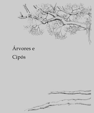 Árvores e
Cipós
 