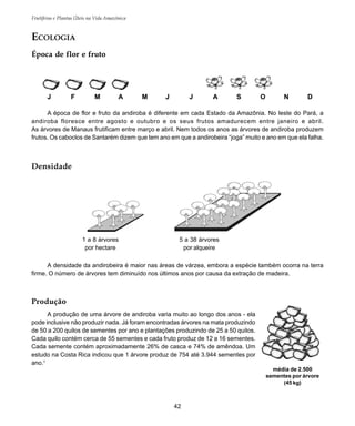 42
Frutíferas e Plantas Úteis na Vida Amazônica
J F M A M J J A S O N D
média de 2.500
sementes por árvore
(45 kg)
A época de flor e fruto da andiroba é diferente em cada Estado da Amazônia. No leste do Pará, a
andiroba floresce entre agosto e outubro e os seus frutos amadurecem entre janeiro e abril.
As árvores de Manaus frutificam entre março e abril. Nem todos os anos as árvores de andiroba produzem
frutos. Os caboclos de Santarém dizem que tem ano em que a andirobeira “joga” muito e ano em que ela falha.
ECOLOGIA
Época de flor e fruto
Produção
A produção de uma árvore de andiroba varia muito ao longo dos anos - ela
pode inclusive não produzir nada. Já foram encontradas árvores na mata produzindo
de 50 a 200 quilos de sementes por ano e plantações produzindo de 25 a 50 quilos.
Cada quilo contém cerca de 55 sementes e cada fruto produz de 12 a 16 sementes.
Cada semente contém aproximadamente 26% de casca e 74% de amêndoa. Um
estudo na Costa Rica indicou que 1 árvore produz de 754 até 3.944 sementes por
ano.1
A densidade da andirobeira é maior nas áreas de várzea, embora a espécie também ocorra na terra
firme. O número de árvores tem diminuído nos últimos anos por causa da extração de madeira.
Densidade
1 a 8 árvores
por hectare
5 a 38 árvores
por alqueire
 