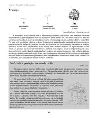 48
Frutíferas e Plantas Úteis na Vida Amazônica
germinação
10 dias
crescimento
1,6 metro por ano
produção
10 anos
MANEJO
Neuza Boufleuer e Cristina Lacerda
A andirobeira é um potencial para os sistemas agroflorestais, pois produz uma excelente madeira e
óleo medicinal. A germinação tem início nos 6 primeiros dias e termina em 2 a 3 meses com 85% a 90% das
sementes germinadas. A árvore cresce rápido mesmo em áreas degradadas, tanto ao sol como na sombra.
Por isso, uma boa idéia é valorizar as áreas de capoeira e áreas alteradas plantando andiroba. Apesar de
ocorrer em baixio, ela também pode ser plantada em terra firme. Os cientistas ainda não sabem se é melhor
plantar as árvores juntas ou afastadas, ao sol ou com pouca ou muita sombra. Em alguns lugares, na fase
inicial, os plantios se desenvolveram bem na sombra, mas depois, a luz foi importante para o seu
desenvolvimento rápido. Quando as plantas ficam em pleno sol, acabam crescendo mais em largura do que
em altura1
e quando estão muito juntas, ficam mais suscetíveis ao ataque da broca do ponteiro. A andirobeira
tem bom potencial nos sistemas agroflorestais e no enriquecimento da capoeira. Porém, tome cuidado com
as sementes, pois os roedores gostam muito de comê-las.
Conferindo a produção: um método rápido
André Dias
Para aproveitar os recursos da floresta é importante saber quais são as árvores existentes, onde
elas estão localizadas e quanto podem produzir. Os cientistas ainda não têm uma idéia certa sobre a
produtividade da andirobeira. Como todo ano a produção de cada árvore varia, os estudos levam muito
tempo e dão resultados extremamente variáveis.
Na comunidade de Pedreira, no Pará, foi feita uma experiência
para saber “mais ou menos” quantos frutos as árvores de andiroba
produziam por ano. Os pesquisadores e comunitários contaram quantas
árvores de andiroba havia em uma área e, para cada árvore, olhavam o
chão e observavam a quantidade de frutos caídos.
Quatro categorias foram usadas de zero até 60 quilos. O resultado
foi: 37 árvores produziram muito pouco ou nada; 43 árvores produziram
até 15 quilos; 13 árvores, entre 15 e 50 quilos, e 7 árvores mais de 50
quilos.3
Em seguida, esses números foram somados e a comunidade
calculou que aquela floresta poderia produzir um pouco mais que 1.200
quilos de sementes por ano. Assim, a comunidade pôde estimar a mão-
de-obra que seria necessária para produzir óleo, bem como o rendimento
que teriam por ano.
 