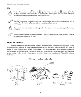 Frutíferas e Plantas Úteis na Vida Amazônica
54
USO
Fruto: polpa, suco, creme, sorvete, geléia, doce, pudim, tortas, iogurte, picolé,
chopp e licor. Em Belém, os chefes-de-cozinha estão criando pratos com bacuri e as indústrias
estão enlatando a polpa para vendê-la em outros Estados.
Madeira: excelente qualidade, utilizada na fabricação de móveis, construções civil e
naval . No interior do Pará, a madeira é usada para fazer cavaco.
Óleo: usado para fazer sabão, curar doenças de pele e fazer remédio cicatrizante para ferimentos
de animais.9
Látex amarelo da árvore: em algumas regiões é utilizado para o tratamento de eczemas, vírus da
herpes e outros problemas de pele.9
Fruto ou farinha?
Durante uma safra, quando Curumim e Antonino venderam bacuri, o valor de 1 saco de frutos (150 a
200 unidades) era parecido ao valor de 4 sacos de farinha. Eles calcularam que levaria 1 dia para colher e
vender os frutos, que renderiam R$ 40 (200 frutos x R$ 0,20 a unidade). Para fazer os mesmos R$ 40 de
farinha, levaria aproximadamente 1 semana. O bacuri tem vantagens para comercialização, pois sua casca
grossa protege a polpa durante a viagem para a feira. Além disso, o fruto pode durar até 7 dias caído embaixo
da árvore.
Mão-de-obra: fruto x farinha
1 dia
R$ 40
cavaco
de bacuri
1 semana
R$ 40
1 saco de frutos = 4 sacos de
farinha
 