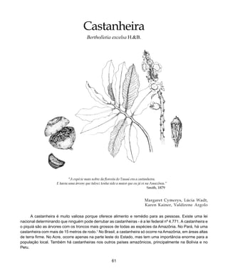 61
Castanheira
“A espécie mais nobre da floresta do Tauaú era a castanheira.
E havia uma árvore que talvez tenha sido a maior que eu já vi na Amazônia.”
Smith, 1879
Castanheira
Bertholletia excelsa H.&B.
Margaret Cymerys, Lúcia Wadt,
Karen Kainer, Valdirene Argolo
A castanheira é muito valiosa porque oferece alimento e remédio para as pessoas. Existe uma lei
nacional determinando que ninguém pode derrubar as castanheiras - é a lei federal nº 4.771. A castanheira e
o piquiá são as árvores com os troncos mais grossos de todas as espécies da Amazônia. No Pará, há uma
castanheira com mais de 15 metros de rodo.1
No Brasil, a castanheira só ocorre na Amazônia, em áreas altas
de terra firme. No Acre, ocorre apenas na parte leste do Estado, mas tem uma importância enorme para a
população local. Também há castanheiras nos outros países amazônicos, principalmente na Bolívia e no
Peru.
 