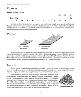 62
Frutíferas e Plantas Úteis na Vida Amazônica
J F M A M J J A S O N D
ECOLOGIA
Época de flor e fruto
No Acre, as flores da castanheira começam a abrir no final da estação seca, quando os frutos da
floração anterior estão quase prontos para caírem. As flores aparecem de outubro a dezembro, e os frutos
amadurecem em 14 ou 15 meses, caindo de dezembro a fevereiro. No Pará, as flores aparecem entre setembro
e fevereiro e os frutos caem entre janeiro e abril.
Densidade
Produção
É difícil estimar a produção de uma castanheira porque o número de ouriços varia muito entre anos e
entre árvores. De uma maneira geral, o tamanho da árvore está relacionado com a sua produção. Entretanto,
isso não é regra, pois existem árvores grandes que não produzem nenhum ouriço.
Uma castanheira produz em média 29 ouriços por ano. Em média, em cada
ouriço existem 16 castanhas, cada uma pesando 7 gramas.1
Normalmente,1 árvore
produz 470 castanhas. Em 1999, a produção do Brasil foi de quase 27 mil toneladas
de castanhas.3
O Estado doAcre, o maior produtor, produziu quase 10 mil toneladas.
Em 2000, o Brasil produziu mais de 33 mil toneladas, gerando quase 19 milhões
de reais.3
Desde o final do século XX, o Brasil ocupava a posição de produtor quase
que exclusivo da castanha-do-brasil. No entanto, atualmente, a Bolívia ocupa a
posição de maior produtor, produzindo um pouco mais que o Brasil.4
A castanheira ocorre em agrupamentos conhecidos como castanhais ou “bolas”. Em áreas de ocorrência
natural de castanheiras pode-se encontrar 1,3 e até 5,1 árvores adultas por hectare.2
Estudos revelam
densidades entre 1,3 e 4,0 árvores por hectare na Reserva Extrativista Chico Mendes, no Acre. Na Floresta
Nacional de Caxuanã ocorre 10 a 12 árvores por hectare. No Trombetas, a densidade varia muito, entre 0 a
15 árvores por hectare. A densidade média de castanheiras é de 1 árvore por hectare.
média de 470
castanhas por árvore
0,1 a 2,5 árvores
por hectare
0,5 a 12 árvores
por alqueire
 