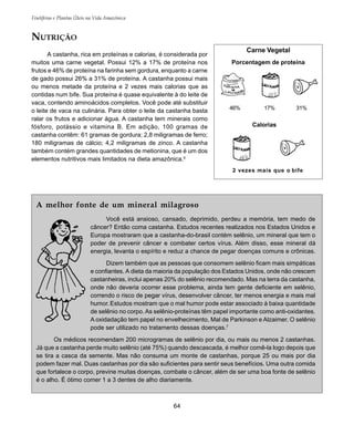 64
Frutíferas e Plantas Úteis na Vida Amazônica
NUTRIÇÃO
A castanha, rica em proteínas e calorias, é considerada por
muitos uma carne vegetal. Possui 12% a 17% de proteína nos
frutos e 46% de proteína na farinha sem gordura, enquanto a carne
de gado possui 26% a 31% de proteína. A castanha possui mais
ou menos metade da proteína e 2 vezes mais calorias que as
contidas num bife. Sua proteína é quase equivalente à do leite de
vaca, contendo aminoácidos completos. Você pode até substituir
o leite de vaca na culinária. Para obter o leite da castanha basta
ralar os frutos e adicionar água. A castanha tem minerais como
fósforo, potássio e vitamina B. Em adição, 100 gramas de
castanha contêm: 61 gramas de gordura; 2,8 miligramas de ferro;
180 miligramas de cálcio; 4,2 miligramas de zinco. A castanha
também contém grandes quantidades de metionina, que é um dos
elementos nutritivos mais limitados na dieta amazônica.6
A melhor fonte de um mineral milagroso
Você está ansioso, cansado, deprimido, perdeu a memória, tem medo de
câncer? Então coma castanha. Estudos recentes realizados nos Estados Unidos e
Europa mostraram que a castanha-do-brasil contém selênio, um mineral que tem o
poder de prevenir câncer e combater certos vírus. Além disso, esse mineral dá
energia, levanta o espírito e reduz a chance de pegar doenças comuns e crônicas.
Dizem também que as pessoas que consomem selênio ficam mais simpáticas
e confiantes. A dieta da maioria da população dos Estados Unidos, onde não crescem
castanheiras, inclui apenas 20% do selênio recomendado. Mas na terra da castanha,
onde não deveria ocorrer esse problema, ainda tem gente deficiente em selênio,
correndo o risco de pegar vírus, desenvolver câncer, ter menos energia e mais mal
humor.Estudos mostram que o mal humor pode estar associado à baixa quantidade
de selênio no corpo. As selênio-proteínas têm papel importante como anti-oxidantes.
A oxidadação tem papel no envelhecimento, Mal de Parkinson e Alzaimer. O selênio
pode ser utilizado no tratamento dessas doenças.7
Os médicos recomendam 200 microgramas de selênio por dia, ou mais ou menos 2 castanhas.
Já que a castanha perde muito selênio (até 75%) quando descascada, é melhor comê-la logo depois que
se tira a casca da semente. Mas não consuma um monte de castanhas, porque 25 ou mais por dia
podem fazer mal. Duas castanhas por dia são suficientes para sentir seus benefícios. Uma outra comida
que fortalece o corpo, previne muitas doenças, combate o câncer, além de ser uma boa fonte de selênio
é o alho. É ótimo comer 1 a 3 dentes de alho diariamente.
Carne Vegetal
Porcentagem de proteína
Calorias
46% 17% 31%
2 vezes mais que o bife
 