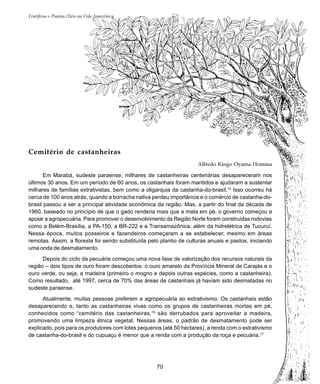 70
Frutíferas e Plantas Úteis na Vida Amazônica
Cemitério de castanheiras
Alfredo Kingo Oyama Homma
Em Marabá, sudeste paraense, milhares de castanheiras centenárias desapareceram nos
últimos 30 anos. Em um período de 60 anos, os castanhais foram mantidos e ajudaram a sustentar
milhares de famílias extrativistas, bem como a oligarquia da castanha-do-brasil.15
Isso ocorreu há
cerca de 100 anos atrás, quando a borracha nativa perdeu importância e o comércio de castanha-do-
brasil passou a ser a principal atividade econômica da região. Mas, a partir do final da década de
1960, baseado no princípio de que o gado renderia mais que a mata em pé, o governo começou a
apoiar a agropecuária. Para promover o desenvolvimento da Região Norte foram construídas rodovias
como a Belém-Brasília, a PA-150, a BR-222 e a Transamazônica, além da hidrelétrica de Tucuruí.
Nessa época, muitos posseiros e fazendeiros começaram a se estabelecer, mesmo em áreas
remotas. Assim, a floresta foi sendo substituída pelo plantio de culturas anuais e pastos, iniciando
uma onda de desmatamento.
Depois do ciclo da pecuária começou uma nova fase de valorização dos recursos naturais da
região – dois tipos de ouro foram descobertos: o ouro amarelo da Província Mineral de Carajás e o
ouro verde, ou seja, a madeira (primeiro o mogno e depois outras espécies, como a castanheira).
Como resultado, até 1997, cerca de 70% das áreas de castanhais já haviam sido desmatadas no
sudeste paraense.
Atualmente, muitas pessoas preferem a agropecuária ao extrativismo. Os castanhais estão
desaparecendo e, tanto as castanheiras vivas como os grupos de castanheiras mortas em pé,
conhecidos como “cemitério das castanheiras,16
são derrubados para aproveitar a madeira,
promovendo uma limpeza étnica vegetal. Nessas áreas, o padrão de desmatamento pode ser
explicado, pois para os produtores com lotes pequenos (até 50 hectares), a renda com o extrativismo
de castanha-do-brasil e do cupuaçu é menor que a renda com a produção da roça e pecuária.17
 