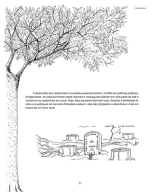 71
Castanheira
A destruição dos castanhais no sudeste paraense ilustra o conflito de políticas públicas.
Antigamente, os colonos tinham áreas maiores e conseguiam plantar em uma parte do lote e
conservar os castanhais em outra. Hoje, eles precisam derrubar tudo. Quando a fertilidade do
solo e os estoques de recursos florestais acabam, eles são obrigados a abandonar o lote em
busca de um novo local.
 
