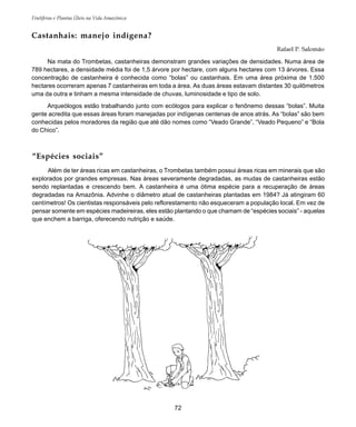 72
Frutíferas e Plantas Úteis na Vida Amazônica
“Espécies sociais”
Além de ter áreas ricas em castanheiras, o Trombetas também possui áreas ricas em minerais que são
explorados por grandes empresas. Nas áreas severamente degradadas, as mudas de castanheiras estão
sendo replantadas e crescendo bem. A castanheira é uma ótima espécie para a recuperação de áreas
degradadas na Amazônia. Advinhe o diâmetro atual de castanheiras plantadas em 1984? Já atingiram 60
centímetros! Os cientistas responsáveis pelo reflorestamento não esqueceram a população local. Em vez de
pensar somente em espécies madeireiras, eles estão plantando o que chamam de “espécies sociais” - aquelas
que enchem a barriga, oferecendo nutrição e saúde.
Castanhais: manejo indígena?
Rafael P. Salomão
Na mata do Trombetas, castanheiras demonstram grandes variações de densidades. Numa área de
789 hectares, a densidade média foi de 1,5 árvore por hectare, com alguns hectares com 13 árvores. Essa
concentração de castanheira é conhecida como “bolas” ou castanhais. Em uma área próxima de 1.500
hectares ocorreram apenas 7 castanheiras em toda a área. As duas áreas estavam distantes 30 quilômetros
uma da outra e tinham a mesma intensidade de chuvas, luminosidade e tipo de solo.
Arqueólogos estão trabalhando junto com ecólogos para explicar o fenônemo dessas “bolas”. Muita
gente acredita que essas áreas foram manejadas por indígenas centenas de anos atrás. As “bolas” são bem
conhecidas pelos moradores da região que até dão nomes como “Veado Grande”, “Veado Pequeno” e “Bola
do Chico”.
 