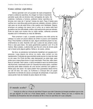 78
Frutíferas e Plantas Úteis na Vida Amazônica
Como coletar cipó-titica
Vamos aprender com um puxador de cipós amapaense
a fazer a coleta do cipó-titica. Ao chegar na mata é importante
perceber quais são as árvores mais carregadas de cipós. Os
coletores, mulheres e homens, preferem retirar cipó-titica de
árvores com mais de 4 “pernas” (raízes de cipó). Faça 2 testes para
verificar se o cipó-titica está pronto para ser coletado: primeiro, dobre o
cipó para ver se ele está firme e não quebra com facilidade. Depois,
arranque um pedaço da casca com a unha; se a casca está bem
grudada e sai com dificuldade, então o cipó está pronto para ser retirado.
Evite os cipós com muitos nós ou cipós verdes, colhendo somente
aqueles com 4 milímetros ou mais de diâmetro.
Para arrancar o cipó, o puxador posiciona uma mão acima da
cabeça e a outra um pouco abaixo do ombro e puxa-o com bastante
força. Para facilitar a retirada do cipó, alguns extratores pisam na raiz,
enterrando-a no solo, fazendo com que o peso do seu próprio corpo
force o cipó para baixo. Os cipós geralmente quebram com 10 a 20
metros. Mas cuidado, a planta-mãe que fica em cima da árvore pode
cair e trazer junto alguns galhos, folhas e, às vezes, cobras.
No Acre, os extratores normalmente trabalham em equipes de 2
pessoas. Logo depois de retirar os cipós, eles cortam os nós
rapidamente. A retirada da casca também pode ocorrer no meio da mata
ou em casa. Em Porto de Moz, eles descascam os cipós logo, para
evitar que a casca fique dura e o cipó manchado. Para isso, eles usam
faca ou canivete. Sem casca, o cipó é enrolado e seco na sombra para
não ficar torto, manchado e sem cor. Quando há muitos cipós, o extrator
esconde parte deles embaixo de uma árvore cobrindo com galhos e
folhas para não secar. Os cipós podem ficar guardados dessa forma
por até 30 dias. Em casa, as mulheres e crianças têm um papel
importante na retirada da casca e produção de artesanato. O cipó sem
casca perde mais da metade do peso depois de 5 dias.
O mundo acaba?
Você já viu a flor ou o fruto do cipó-titica? Espero que não! Caboclos do Amapá acreditam que no dia
em que alguém vir a flor ou o fruto dessa planta, o mundo vai acabar. Talvez por isso, a maioria dos
herbários da Amazônia não tem amostras de flor e fruto do cipó-titica em suas coleções.
 