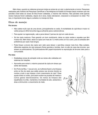 81
Cipó-titica
Dicas de manejo:
Por árvore:
• Não colete muito cipó de uma árvore, principalmente no verão. A mortalidade do cipó-titica é maior no
verão porque é difícil encontrar água suficiente para a sobrevivência.
• Para ajudar na regeneração, vale a pena deixar 2 pernas de cipó em cada árvore.
• Só tire cipós maduros. Para garantir um bom rendimento, deixe os cipós verdes e aqueles que têm
muitos nós. Além disso, deixe os cipós com mais de 1,5 metro entre um nó e outro, pois os artesãos têm
preferência por cipós mais longos.
• Pode limpar a árvore dos cipós sem valor para deixar o cipó-titica crescer mais livre. Mas cuidado,
diferentes espécies de cipó possuem flores grandes e bonitas, bem no alto da copa das árvores, que
atraem os polinizadores. Os polinizadores têm papel importante na reprodução de árvores úteis para a
comunidade.
Por área:
• Estabeleça zonas de extração onde as raízes são coletadas em
sistemas de rotações.
• Aproveite para extrair o máximo possível de cipós em áreas que
serão derrubadas.
• Em Porto de Moz, 1 vez por ano, as mulheres fazem uma limpeza
entre os fios de cipós que estão presos nas árvores tirando os
mortos e tudo o que impeça o bom crescimento do cipó.6
Esse
ajuste é feito no verão, pois assim evitam-se picadas de insetos e
outros gastos desnecessários. Os restos da limpeza são
espalhados no chão, mantendo a humidade do solo, adubando a
área e diminuindo o crescimento do mato.
Além disso, quando os coletores arrancam todas as raízes de um cipó, a planta tende a morrer. Pesquisas
realizadas pelo Instituto de Pesquisas Científicas e Tecnológicas do Estado do Amapá (Iepa) mostram que nas
parcelas onde todas as raízes de titica foram coletadas, a maioria não rebrotou. Nas parcelas onde apenas
raízes maduras foram coletadas, depois de 2 anos, todas rebrotaram, cresceram e enraizaram no chão.4
Por
isso, é importante tomar alguns cuidados no manejo do titica.
 