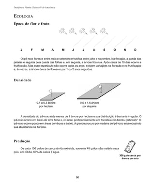 96
Frutíferas e Plantas Úteis na Vida Amazônica
J F M A M J J A S O N D
0,1 a 0,3 árvore
por hectare
0,5 a 1,5 árvore
por alqueire
ECOLOGIA
Época de flor e fruto
O ipê-roxo floresce entre maio e setembro e frutifica entre julho e novembro. Na floração, a queda das
pétalas é seguida pela queda das folhas e, em seguida, a árvore fica nua. Após cerca de 10 dias ocorre a
frutificação. Mas esse espetáculo não ocorre todos os anos; existem variações na floração e na frutificação
e, às vezes, a árvore deixa de florescer por 1 ou 2 anos seguidos.
300 g de casca por
árvore por ano
A densidade do ipê-roxo é de menos de 1 árvore por hectare e sua distribuição é bastante irregular. O
ipê-roxo ocorre em áreas de terra firme e, no Acre, preferencialmente em florestas com bambu (tabocal).1
O
ipê-roxo ocorre pouco em áreas de várzea e baixio. A grande procura por madeira de ipê-roxo está reduzindo
sua abundância na floresta.
Produção
De cada 100 quilos de casca úmida extraída, somente 40 quilos são matéria seca
pois, em média, 60% da casca é água.
Densidade
 