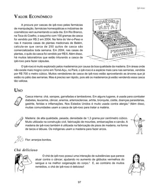 97
Ipê-roxo
VALOR ECONÔMICO
A procura por cascas de ipê-roxo pelas farmácias
de manipulação, farmácias homeopáticas e indústrias de
cosméticos vem aumentando a cada dia. Em Rio Branco,
na Toca do Coelho, o saquinho com 100 gramas de casca
foi vendido por R$ 2 em 2004. Na feira do Ver-o-Peso e
nas 4 maiores casas de plantas medicinais de Belém,
calcula-se que cerca de 250 quilos de casca são
comercializados toda semana. Em 2004, nas casas de
plantas, o quilo da casca foi vendido por R$ 6. Além disso,
há muitos laboratórios que estão triturando a casca de
ipê-roxo para fazer cápsulas.
O ipê-roxo é muito explorado pelos madeireiros por causa da boa qualidade da madeira. Em áreas onde
não existe mais mogno como em Tomé-Açu, no Pará, o ipê-roxo é a espécie mais cara nas serrarias, vendida
por R$ 700 o metro cúbico. Muitos vendedores de casca de ipê-roxo estão aproveitando as árvores que já
estão no pátio das serrarias. Mas é preciso ser rápido, pois até os madeireiros já estão vendendo essa casca
tão valiosa.
USO
Casca interna: chá, xaropes, garrafadas e lambedores. Em alguns lugares, é usada para combater
diabetes, leucemia, câncer, anemia, arteriosclerose, artrite, bronquite, cistite, doenças parasitárias,
gastrite, feridas e inflamações. Nos Estados Unidos é muito usada contra alergia.2
Além disso,
muitas comunidades usam a casca de ipê-roxo para tratar a malária.
Madeira: de alta qualidade, pesada, densidade de 1,3 grama por centímetro cúbico.
Muito utilizada na construção civil, fabricação de mourões, embarcações e carvão. A
madeira de ipê-roxo também é utilizada na fabricação de pisos de madeira, na forma
de tacos e tábuas. Os indígenas usam a madeira para fazer arcos.
Flor: arranjos bonitos.
Chá delicioso
O chá de ipê-roxo possui uma interação de substâncias que parece
atuar contra o câncer, ajudando no aumento de glóbulos vermelhos do
sangue e na melhor oxigenação do corpo.3
E, ao contrário de muitos
remédios, o chá de ipê-roxo é delicioso!
 