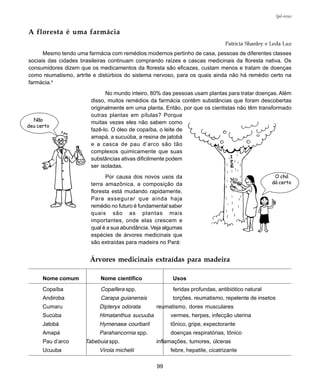 99
Ipê-roxo
Nome comum Nome científico Usos
Copaíba Copaifera spp. feridas profundas, antibiótico natural
Andiroba Carapa guianensis torções, reumatismo, repelente de insetos
Cumaru Dipteryx odorata reumatismo, dores musculares
Sucúba Himatanthus sucuuba vermes, herpes, infecção uterina
Jatobá Hymenaea courbaril tônico, gripe, expectorante
Amapá Parahancornia spp. doenças respiratórias, tônico
Pau d’arco Tabebuia spp. inflamações, tumores, úlceras
Ucuuba Virola michelii febre, hepatite, cicatrizante
A floresta é uma farmácia
Patricia Shanley e Leda Luz
Mesmo tendo uma farmácia com remédios modernos pertinho de casa, pessoas de diferentes classes
sociais das cidades brasileiras continuam comprando raízes e cascas medicinais da floresta nativa. Os
consumidores dizem que os medicamentos da floresta são eficazes, custam menos e tratam de doenças
como reumatismo, artrite e distúrbios do sistema nervoso, para os quais ainda não há remédio certo na
farmácia.4
No mundo inteiro, 80% das pessoas usam plantas para tratar doenças. Além
disso, muitos remédios da farmácia contêm substâncias que foram descobertas
originalmente em uma planta. Então, por que os cientistas não têm transformado
outras plantas em pílulas? Porque
muitas vezes eles não sabem como
fazê-lo. O óleo de copaíba, o leite de
amapá, a sucuúba, a resina de jatobá
e a casca de pau d’arco são tão
complexos quimicamente que suas
substâncias ativas dificilmente podem
ser isoladas.
Por causa dos novos usos da
terra amazônica, a composição da
floresta está mudando rapidamente.
Para assegurar que ainda haja
remédio no futuro é fundamental saber
quais são as plantas mais
importantes, onde elas crescem e
qual é a sua abundância. Veja algumas
espécies de árvores medicinais que
são extraídas para madeira no Pará:
Árvores medicinais extraídas para madeira
Não
deu certo
O chá
dá certo
 