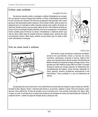 102
Frutíferas e Plantas Úteis na Vida Amazônica
Colete com cuidado
Campbell Plowden
Há poucos estudos sobre a ecologia e efeitos fitoterápicos do amapá.
Em um estudo na área indígena dos Tembé, no Pará, a densidade encontrada
foi de 3 árvores por hectare. Os frutos do amapazeiro são grandes, têm casca
grossa e são apreciados pelos macacos. Para coletar o leite, corte a casca na
diagonal com um machado e colha o líquido usando uma vasilha. O estudo na
área dos Tembé mostrou que se pode colher de 20 a 100 mililitros de leite por
árvore.Como a extração do látex danifica o tronco do amapazeiro, é importante
tomar cuidado para minimizar os danos. Vendedores e coletores dizem que
não se deve colher leite de amapá durante a estação seca, quando ele está
concentrado e tóxico. Além disso, existem os que dizem que no verão o leite
sobe, dificultando a extração.
Uso na zona rural e urbana
Glória Gaia
Nas feiras e lojas de plantas medicinais de Belém
sempre tem garrafadas, óleos e resinas de cores
vermelha, alaranjada, amarela e branca. Alguns dos
vidros com líquido branco são de amapá. Os feirantes de
Belém vendem os 2 tipos de amapá: amargo e doce. Uma
garrafa com 300 mililitros custou R$ 5 em 2004. O amapá
amargo é usado por muitas pessoas no tratamento das
conseqüências da malária, contra vermes, infecções no
útero, gastrite, anemia, problemas respiratórios e até
tuberculose.7
Uma novidade é o uso no tratamento de
câncer.
As pessoas da zona rural tomam uma colherinha de chá de leite de amapá em jejum todas as manhãs,
durante 8 dias. Depois, ficam 1 semana sem tomar e, se preciso, repetem a dose. Para as crianças, usam
sempre meia colherinha. O leite de amapá nunca é tomado puro, mas sempre misturado com água, leite,
mingau ou café. O amapá doce é usado para restaurar as energias em casos de desnutrição de crianças. É
costume tomar 1 colher de sopa de amapá doce 2 vezes por dia.
 