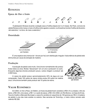 106
Frutíferas e Plantas Úteis na Vida Amazônica
J F M A M J J A S O N D
média de 800 frutos
por árvore
Produção
A produção de jatobá varia muito. Uma árvore normalmente não produz
frutos todos os anos. Muitas “descansam” em um ano e produzem no outro.
Enquanto algumas árvores produzem pouco, outras chegam a produzir até
2.000 frutos.
A casca de jatobá possui aproximadamente 40% de água em sua
composição. Cada 100 quilos de casca úmida produz 60 quilos de matéria
seca. Uma árvore também pode produzir até 15 quilos de resina.
VALOR ECONÔMICO
Em 2004, no Ver-o-Peso, em Belém, os frutos de jatobá foram vendidos a R$ 0,10 a unidade; o litro da
seiva, a R$ 4,50; uma casca, a R$ 1; e o quilo da casca, a R$ 4. Em 2002, em Rio Branco, na Casa de Ervas,
Toca do Coelho e Mercado Municipal, a casca foi vendida em saquinhos de 100 gramas por R$ 2. A madeira
de jatobá é uma das mais aceitas no exterior. Nas serrarias de Tomé-Açu, o metro cúbico cerrado está
valendo R$ 380.
O jatobazeiro floresce durante a estação seca e frutifica depois de 3 a 4 meses. No Pará, a árvore de
jatobá floresce entre março e maio e frutifica entre agosto e outubro; na Amazônia Central, frutifica de fevereiro
até setembro;1
no Acre, de maio a setembro.2
ECOLOGIA
Época de flor e fruto
0,2 a 2 árvores
por hectare
1 a 10 árvores
por alqueire
É uma espécie rara (menos de 1 árvore por ha) com distribuição irregular. A abundância de jatobá está
diminuindo por causa da extração de madeira.
Densidade
 
