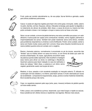 107
Jatobá
USO
Fruto: pode ser comido naturalmente ou, de sua polpa, faz-se farinha e gemada, usada
para aliviar problemas pulmonares.
Casca: é usada em algumas regiões para fazer chá contra gripe, bronquite, cistite, catarro
no peito, diarréia, vermes, fraqueza, cólicas, infecções na bexiga, para ajudar na digestão e
no tratamento de câncer de próstata. Além disso, a casca da árvore ou mesmo do fruto
pode combater a tosse: é só mastigar e chupar a casca como se fosse uma bala.
Seiva: ao ser cortada, a árvore de jatobá derrama uma seiva vermelha que possui um valor
altíssimo. A seiva pode ser usada como combustível, remédio, verniz vegetal, polimento e
impermeabilizador de canoa. Também tem poder medicinal: serve como tônico, remédio
para problemas respiratórios e urinários e como fortificante. Porém, tome cuidado, extrair a
seiva com facão muitas vezes pode ferir a árvore. Essa seiva (líquido) transforma-se em
resina (sólido) quando entra em contato com o oxigênio.
Resina: chamada jutaicica, normalmente é encontrada no pé da árvore, escorrida das
“feridas” que os insetos abrem na casca do tronco, ou em forma de bolas que caem de
árvores arrebentadas. Às vezes, agricultores encontram bolas
de jutaicica quando estão capinando. Eles recolhem e mastigam
essa resina para aliviar as dores no estômago e flatulência.
Queimam jutaicica para fazer inalação no caso de resfriados e
dores de cabeça.3
Além disso, a jutaicica é um ótimo verniz
vegetal, geralmente usado nas louças de barro.
Madeira: é dura, pesada e com excelente aceitação no mercado externo. É utilizada na
construção civil nas cidades e, no interior, para fazer canoas. É muito valorizada por causa
da durabilidade - comparável à maçaranduba, acapu, jarana e outras madeiras resistentes.
Ela é excelente porque não racha.
Caça: os caçadores esperam pela caça (anta, paca, macaco) embaixo do jatobá quando
os frutos estão caindo.
Folha: possui uma substância química, terpenoide, que mata fungos e repele as saúvas.
Essa substância tem efeitos tóxicos e repelentes nas lagartas. Merece mais estudo.
 