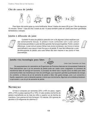 108
Frutíferas e Plantas Úteis na Vida Amazônica
Chá de casca de jatobá
NUTRIÇÃO
O fruto é composto por sementes (25% a 40% do peso), vagem
(50% a 70%) e polpa (apenas 5% a 10%). O valor protéico da farinha de
jatobá é semelhante ao do fubá de milho e superior ao da farinha de
mandioca. Cem gramas do fruto fornecem 115 calorias, 29,4 gramas de
glicídios e 33 miligramas de vitamina C.5
Para fazer chá contra gripe ou como fortificante: ferver 3 dedos de casca (20 g) em 1 litro de água por
15 minutos. Tomar 1 copo de chá 3 vezes ao dia.4
A casca também pode ser usada para fazer garrafadas,
lambedores e xaropes.
Jatobá é diferente de jutaí
Cuidado! A casca de jatobá é parecida com a de algumas outras espécies que
são extremamente tóxicas. O jatobá é muito confundido com o jutaí comum
(Hymenaea parvifolia) e o jutaí-da-folha-grande (Hymenaea longifolia). Porém, existem
diferenças: o jutaí comum possui folhas mais duras (coriáceas), seu tronco é menos
avermelhado e sua casca é mais fina que a do jatobá. É mais fácil diferenciar o jutaí-
da-folha-grande do jatobá, pois suas folhas são bem maiores e seu tronco é mais
avermelhado.
Jatobá vira tecnologia para látex
Lênio José Guerreiro de Faria
Os pesquisadores do Laboratório de Engenharia de Produtos Naturais da Universidade Federal do
Pará descobriram que o pó da semente de jatobá pode ser usado como coagulador no processo de
transformar látex de seringa em borracha. O processo de retirar todo o líquido (soro) do látex para obter
a borracha é feito nas indústrias por meio de centrífugas, que requerem grandes quantidades de energia.
Ao contrário, a mistura de pó de semente de jatobá e látex não gasta energia, pois o pó concentra o
líquido, separando o soro e deixando apenas o creme que vira borracha.Algumas comunidades já testaram
e aprovaram o uso do pó da semente de jatobá.
 