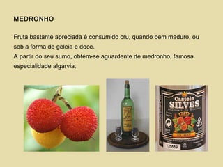 MEDRONHO
Fruta bastante apreciada é consumido cru, quando bem maduro, ou
sob a forma de geleia e doce.
A partir do seu sumo, obtém-se aguardente de medronho, famosa
especialidade algarvia.
 