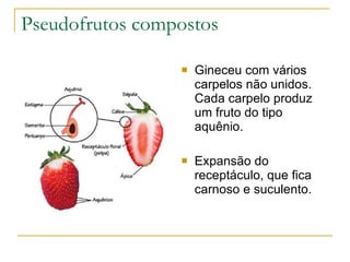 Pseudofrutos compostos Gineceu com vários carpelos não unidos. Cada carpelo produz um fruto do tipo aquênio. Expansão do receptáculo, que fica carnoso e suculento. 
