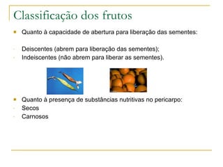 Classificação dos frutos Quanto à capacidade de abertura para liberação das sementes: Deiscentes (abrem para liberação das sementes); Indeiscentes (não abrem para liberar as sementes). Quanto à presença de substâncias nutritivas no pericarpo: Secos Carnosos 
