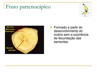Fruto partenocápico Formado a partir do desenvolvimento do ovário sem a ocorrência de fecundação das sementes. 