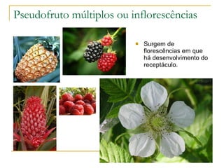 Pseudofruto múltiplos ou inflorescências Surgem de florescências em que há desenvolvimento do receptáculo. 