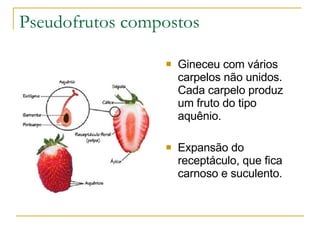 Pseudofrutos compostos Gineceu com vários carpelos não unidos. Cada carpelo produz um fruto do tipo aquênio. Expansão do receptáculo, que fica carnoso e suculento. 
